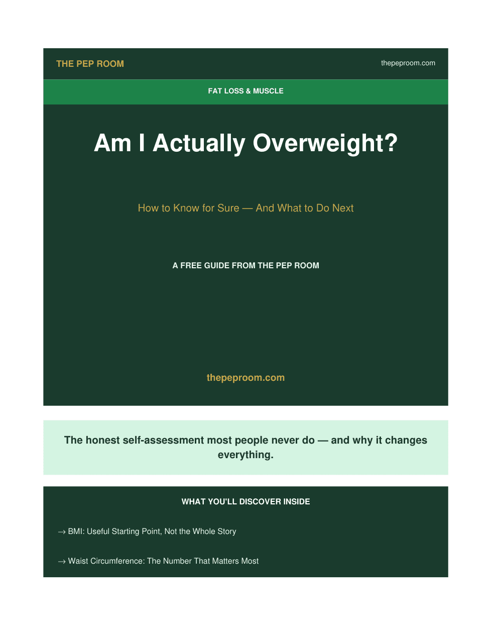 First page preview of Am I Actually Overweight