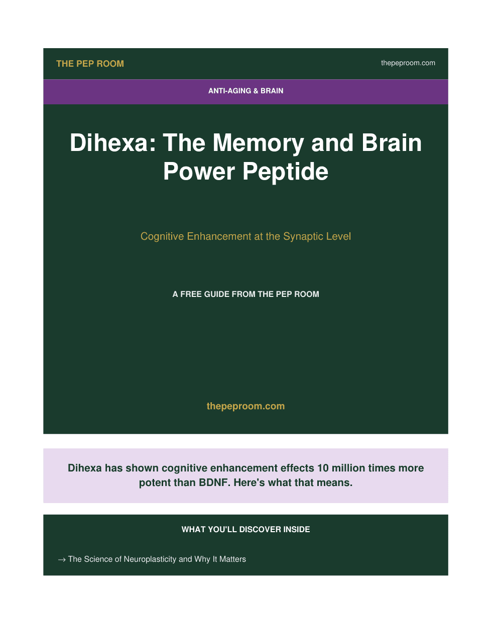 Cover of Dihexa Brain Memory Guide